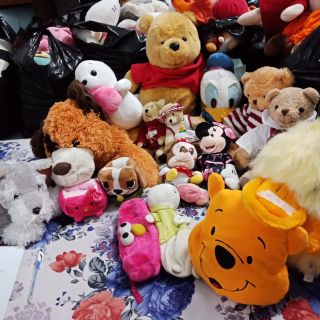 Gấu bông của Cô Sau