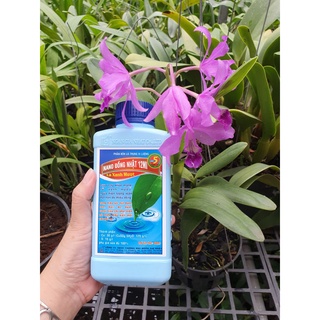 Phân Nano Đồng chai 500ml -Mai Huy, vi khuẩn ,rỉ sắt ,thán thư