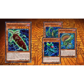 Yugioh - Bộ Bài Predaplant tiếng Nhật