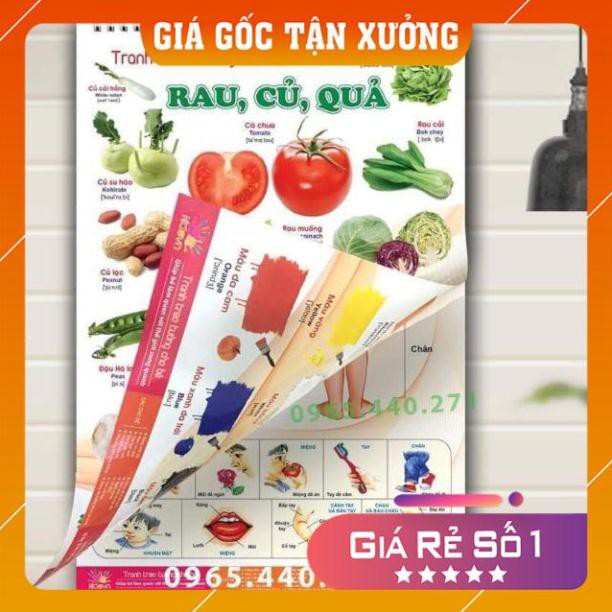 [RẺ VÔ ĐỊCH] Bộ Tranh Treo Tường Về Thế Giới Xung Quanh 14 Chủ Đề