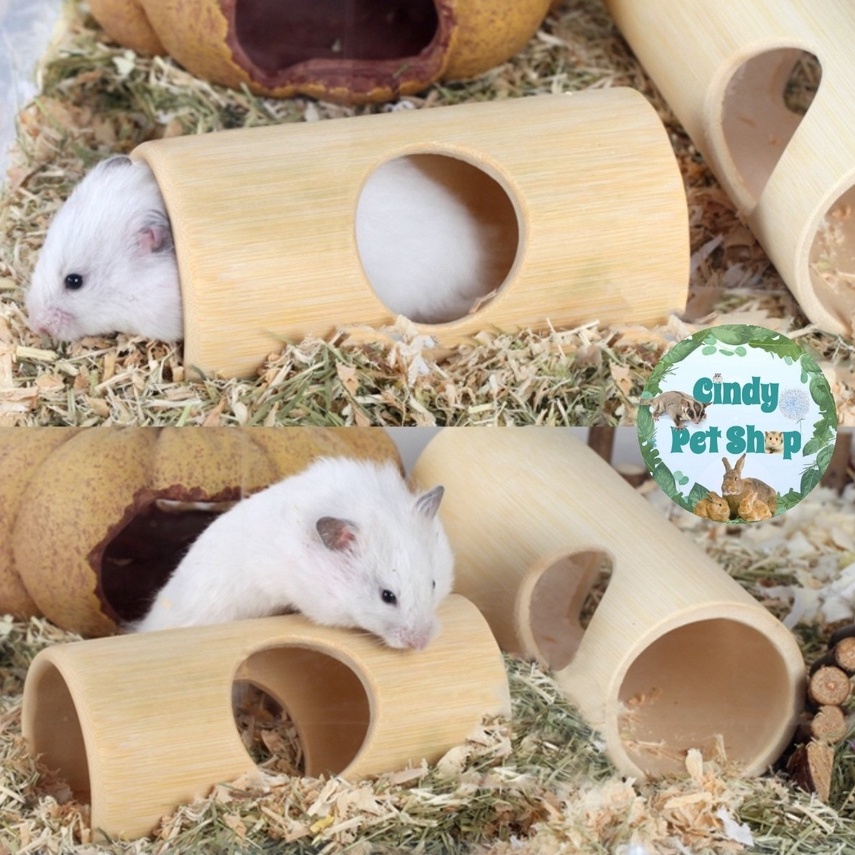 Ống chui gỗ thông đồ chơi cho Hamster