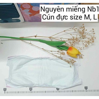Tã bỉm dán cho chó đực ( 1 miêng)