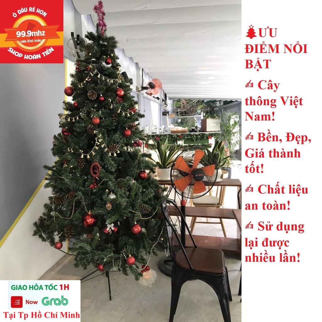 Cây Thông Noel 3m - Cây Thông Trang Trí Noel Giáng Sinh Cao 3M Chân Sắt Quà Tặng Noel 1 Ngôi Sao Đỉnh Và 8 Dây Kim Tuyến