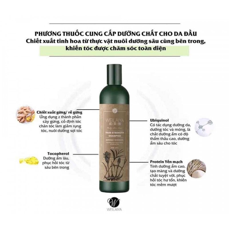 Bộ dầu gội Weilaiya mọc tóc tri rụng tóc tinh chất Gừng và Hà Thủ Ô | BigBuy360 - bigbuy360.vn