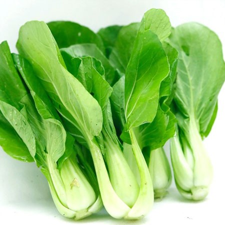 cải thìa 20gr, hạt giống nhập khẩu New Zealand