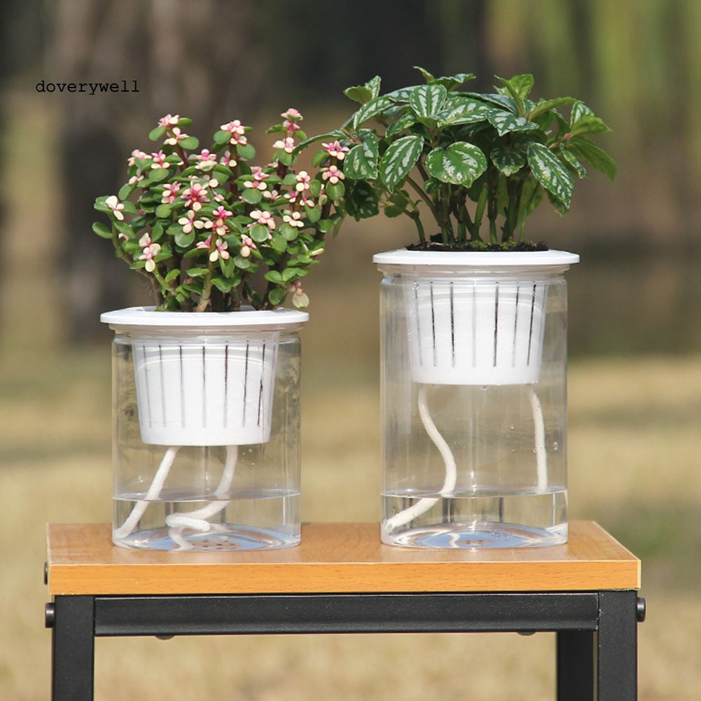 Dụng Cụ Tưới Nước Tự Động Trong Suốt