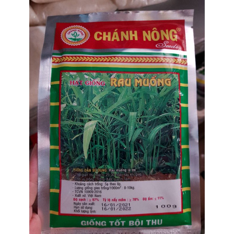 HỘT RAU MUỐNG - BỊCH 100GR