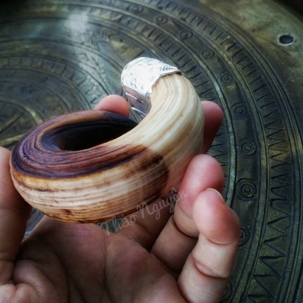 Nanh heo nhân tạo hàm trên