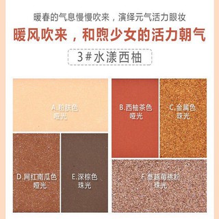 [Anh Thật] Bảng phấn mắt novo 6 ô