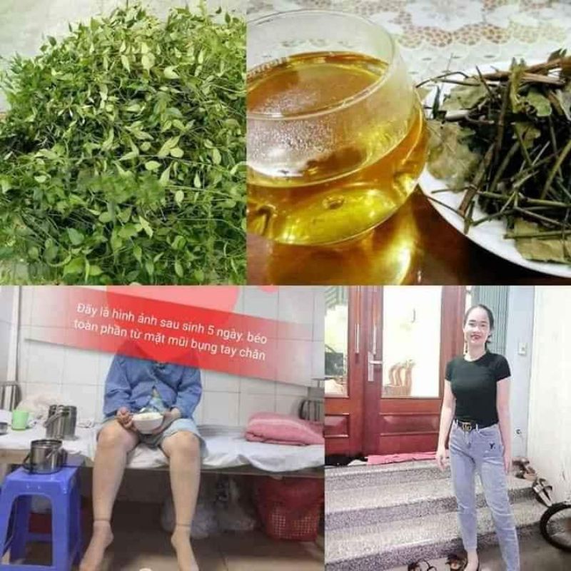 1KG Chè Vằng sẻ  khô sạch