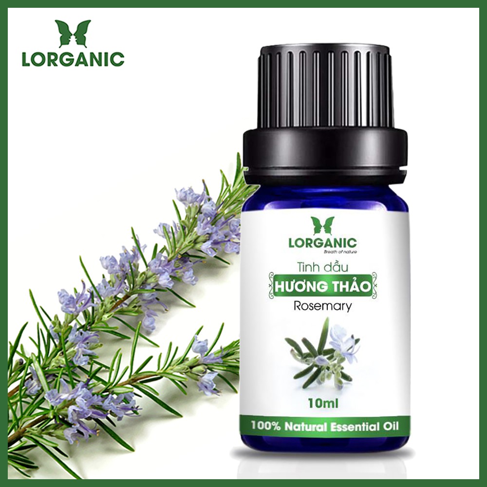 [FREE SHIP 50K] Tinh dầu hương thảo nguyên chất Lorganic Rosemary 100% Natural Essential Oil 10ml