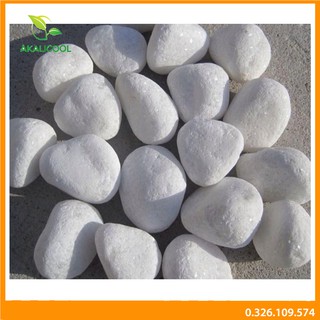 500g - Bịch Sỏi Trắng Viên Lớn (3-5 cm) Trang Trí Hồ Cá - Phụ Kiện Bể Cá-