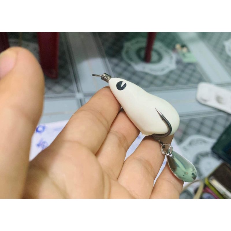 NHÁI HƠI NGỌC TRINH 4.5 cm