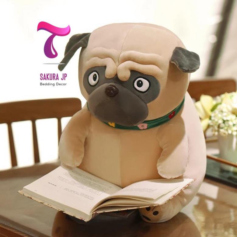 Chó Bông Pug Mặt Xệ Dễ Thương SIZE TO  Cho Pug Mặt Ngáo Ngơ Cute  Thú Nhồi Bông Nhập Khẩu Sakura JP