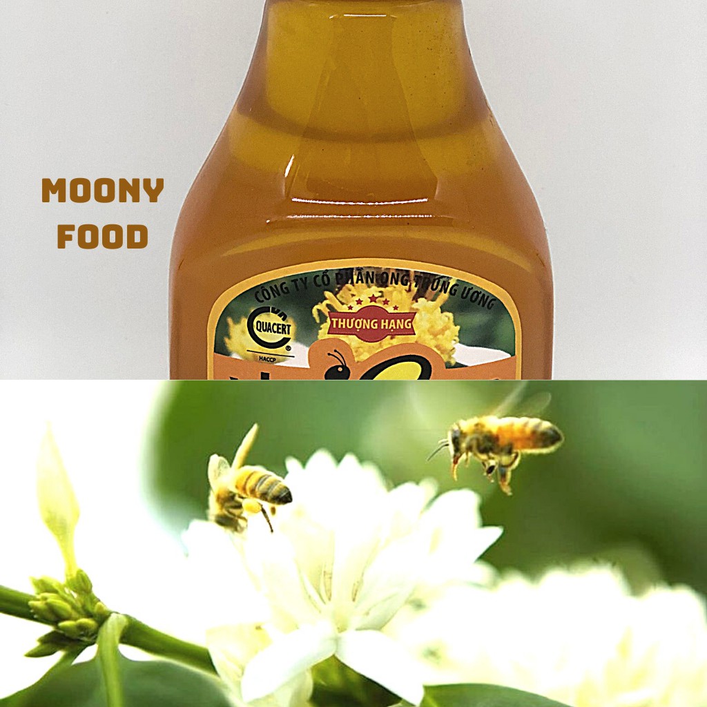 Mật Ong Rừng Hoa Nhãn Bạc Hà Nguyên Chất Vina Bee Hộp 360G