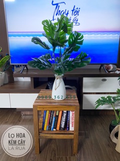 Combo cây lá xẻ kèm lọ hoa