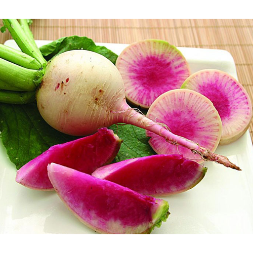 [Rẻ Vô Địch] hạt giống Củ cải ruột đỏ
