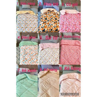 Chăn phao nhập khẩu Cotton poly 2m-2m2( ép hơi gọn kèm túi)