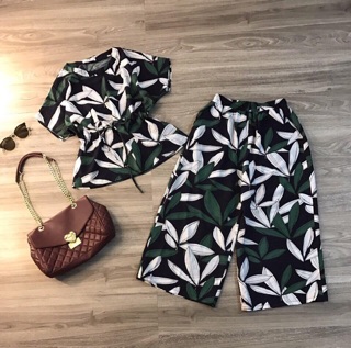 Set bộ Cati