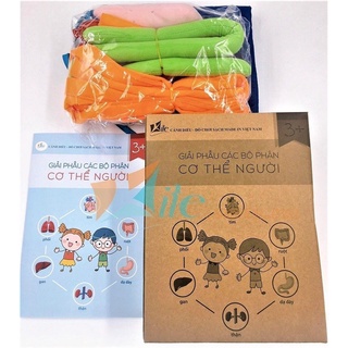 Bộ trực quan sinh học kèm học liệu, vải khử trùng, giúp trẻ hiểu về cơ thể một cách gần gũi