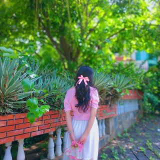 Combo kẹp nơ