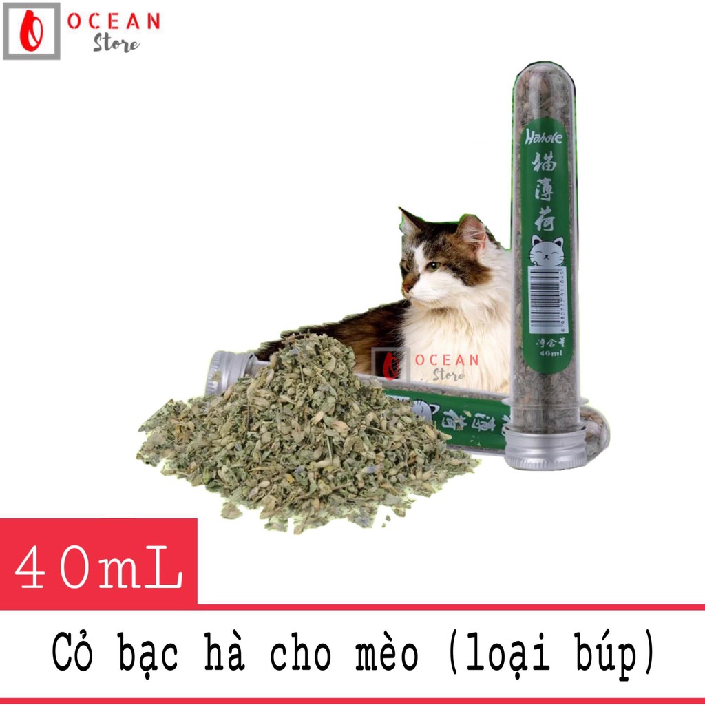 [Mã PET50K giảm Giảm 10% - Tối đa 50K đơn từ 250K] Cỏ bạc hà cho mèo hạt búp khô dạng ống - Catnit 01