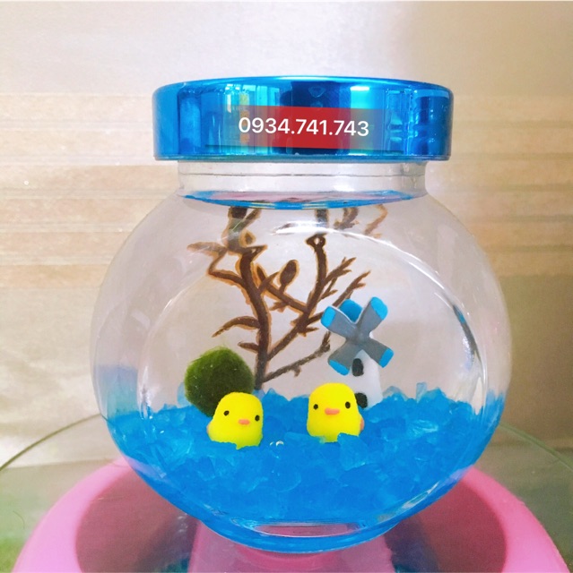 Combo tiểu cảnh marimo bé gà con cute ( kèm marimo)