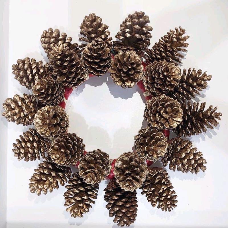 Quả thông khô, tự nhiên, thông trang trí, cho pet ăn