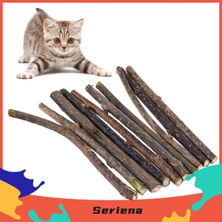Bộ 10 Cây Gỗ Miêu Bạc Hà Tự Nhiên Cho Mèo Cưng