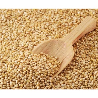 500gr hạt quinoa diêm mạch trắng