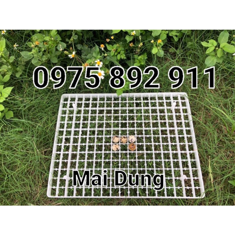 khay ấp trứng chim cút - loại 221 quả
