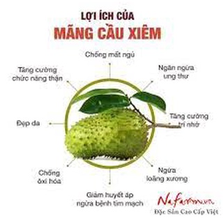 Trà mãng cầu xiêm sấy khô, rang thơm, bịch 200gr, 500gr