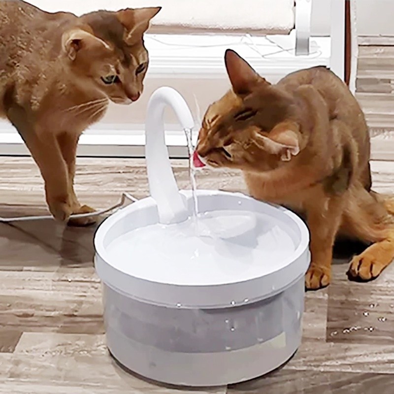 Vòi nước cho mèo Máy uống nước tự động cho mèo có vòi Bộ lọc nước cho mèo Máy tưới nước cho mèo Bát uống nước tự động