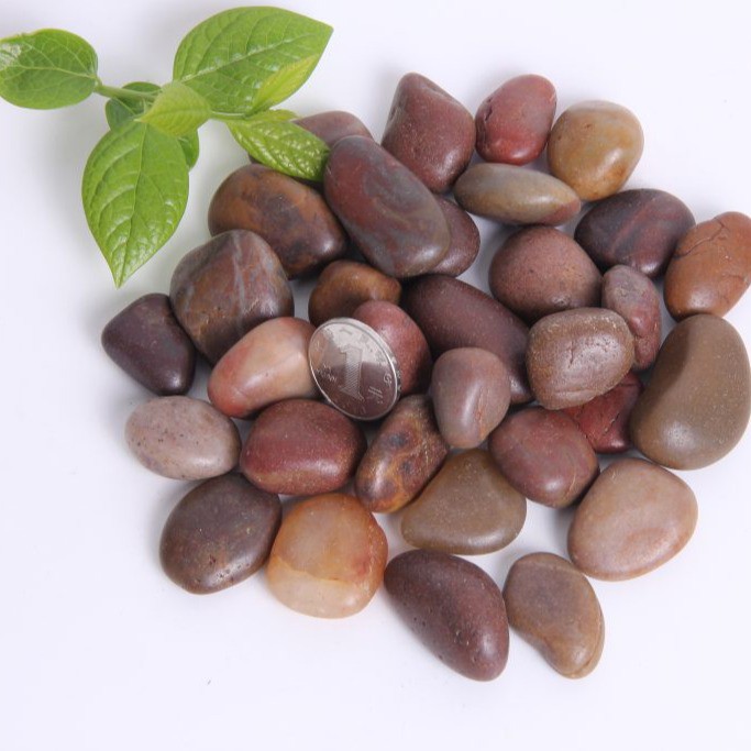 Sỏi Đá Bạch Dương