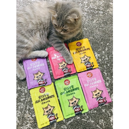 Pate Wanpy Happy 100 Cho Mèo Gói 70g - Pate Cho Mèo 6 Vị Hấp Dẫn , Bổ Dưỡng