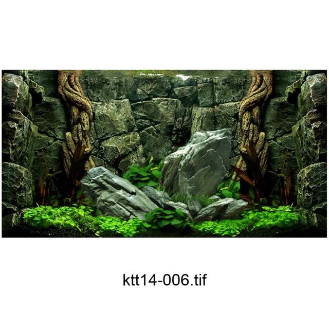 TRANH 3D DÁN HỒ CÁ