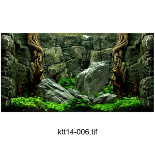 TRANH 3D DÁN HỒ CÁ