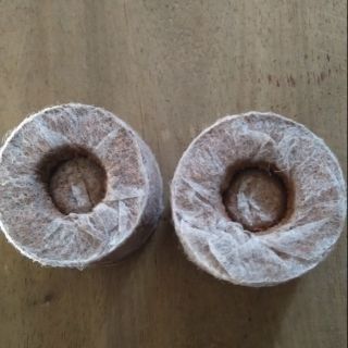 100 Viên nén ươm hạt xơ dừa