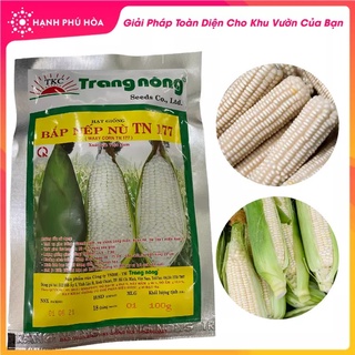[Trang Nông] Hạt Giống Bắp Nù Gói 100gram Cao Sản