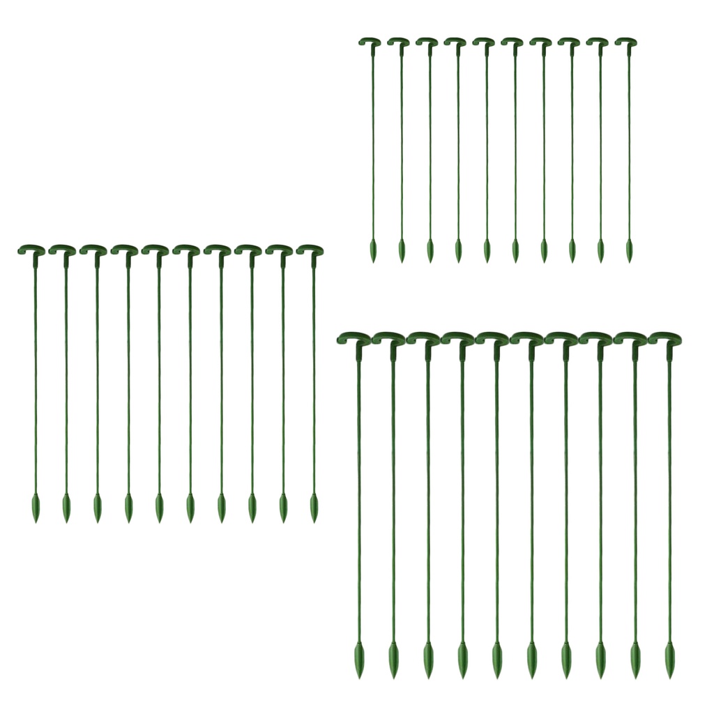 Set 10 Giá Đỡ Hỗ Trợ Cây Trồng Chất Lượng Cao