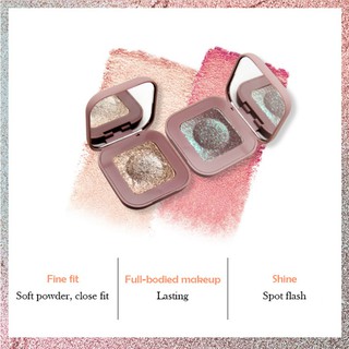 NOVO Monochrome High Flash 10 Color Eyeshadow【F】