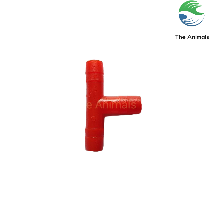 Ống nối chữ T 8 li Set 50 cái