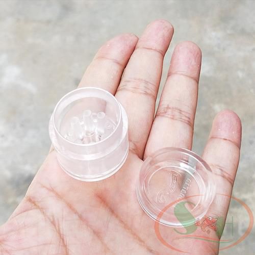 Bẫy Giun Sán Acrylic 8 Lỗ Planaria Trap