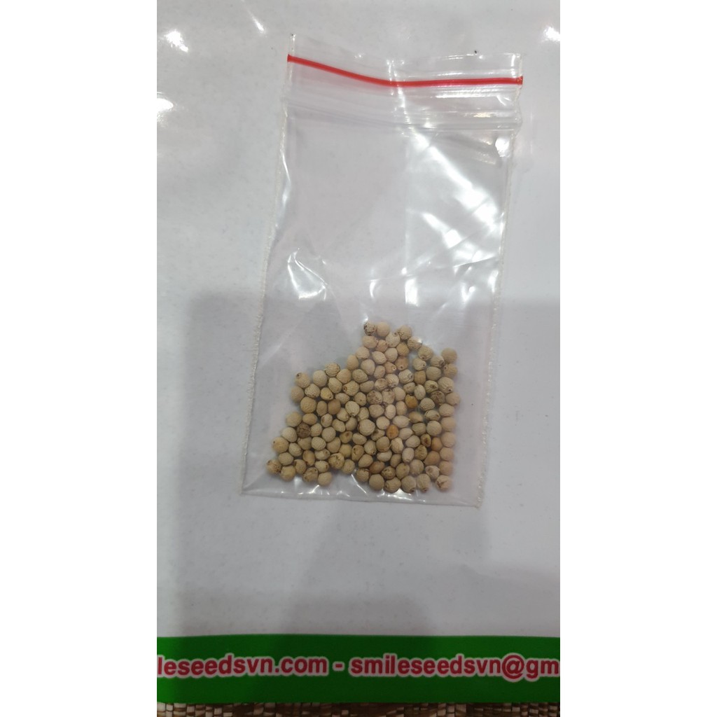 Hạt giống Mè Hàn Quốc - 0.5gram ~ 100 Hạt