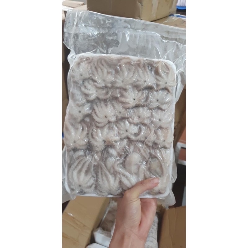 bạch tuộc baby khay 1kg