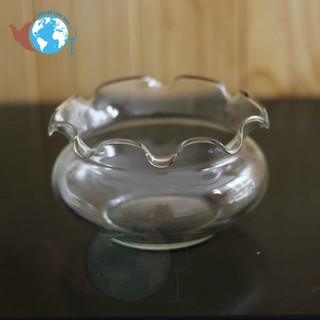 [HCM]B16-HỒ CÁ CHẬU CÂY THỦY TINH BÈO LÙN D15CM X 8CM