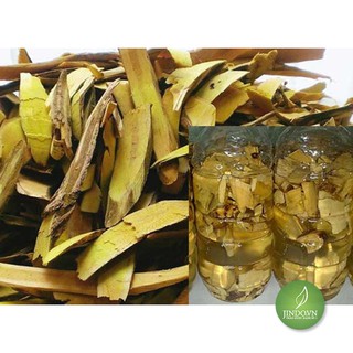 0,5kg Cây mật gấu bắc JD008