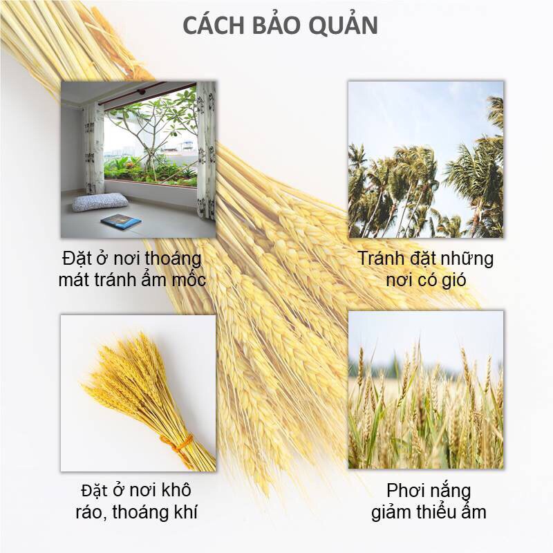 Lúa mạch vintage decor, hanmade