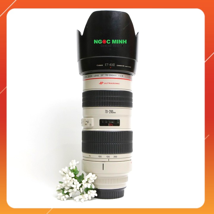 Canon EF 70-200mm f2.8L USM