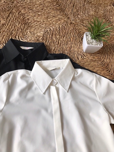 Sơ mi trơn trắng